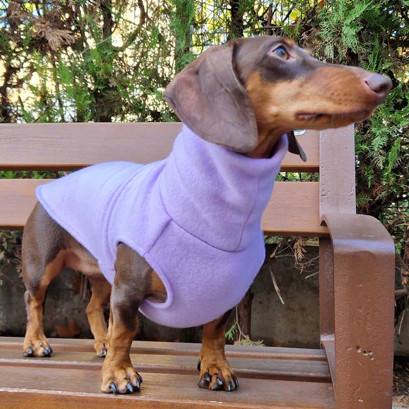 Maglione in pile per bassotti