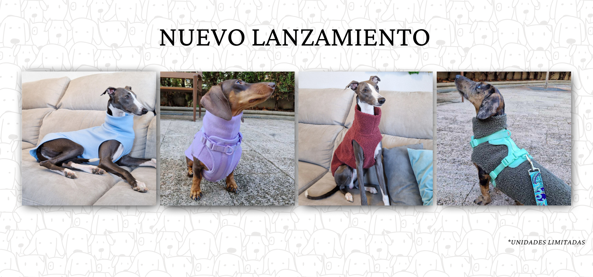 slider image slider_item_kDB9Am