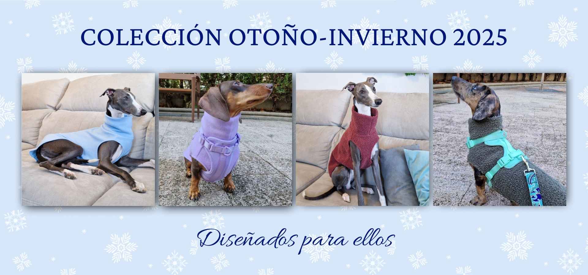 slider image slider_item_kDB9Am