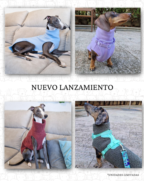 slider image slider_item_kDB9Am