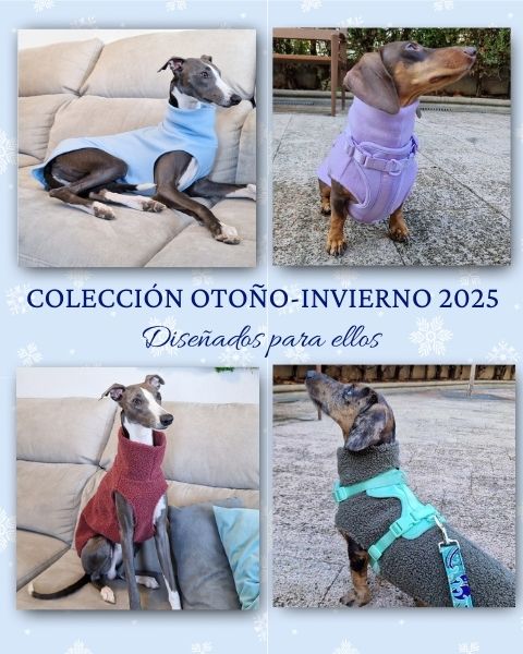 slider image slider_item_kDB9Am