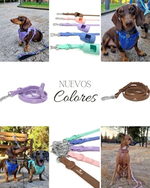 slider image slider_item_CMPEPL