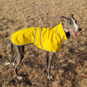 EN PREVENTA - Chubasquero Impermeable para Whippet y Galgo