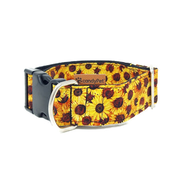 Collar Click Algodón -  SUNFLOWERS
