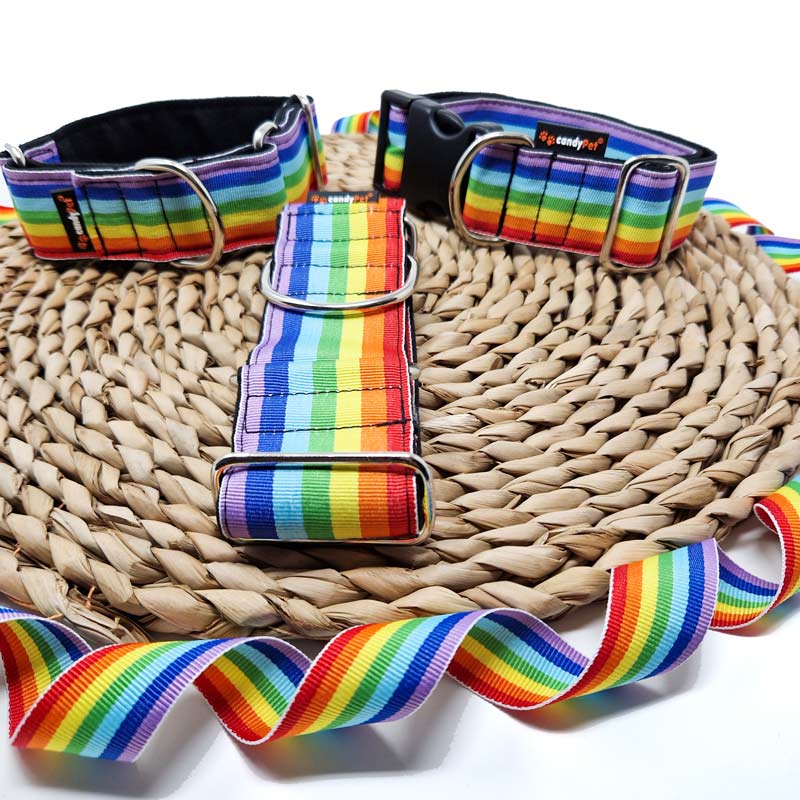 Collar rainbow