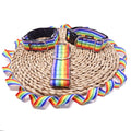 Collar Click - RAINBOW -  - 