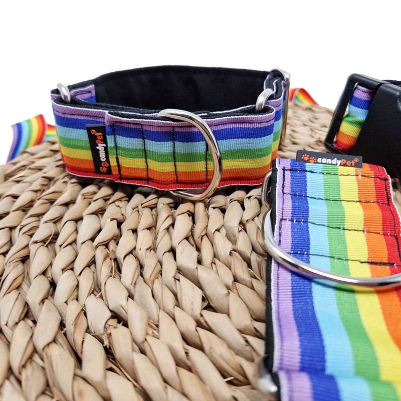 Collar Click - RAINBOW -  - 