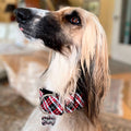 Collar Martingale -  PLAID -  - 