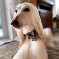 Collar Martingale -  PLAID -  - 