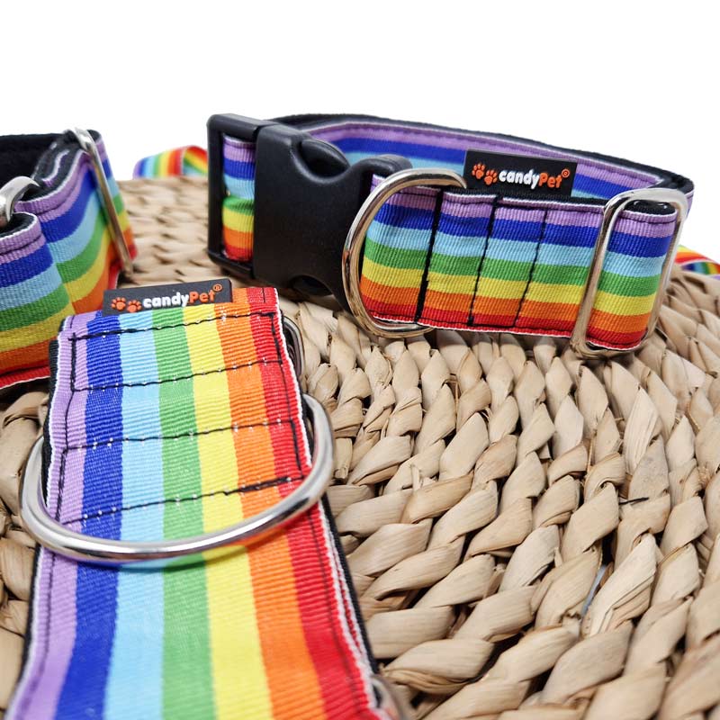 Martingale Collar RAINBOW