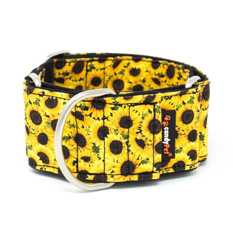 Collar Martingale -  SUNFLOWERS -  - 