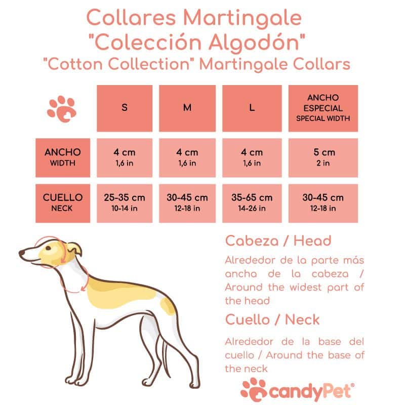 Martingale Collar - Multicolor