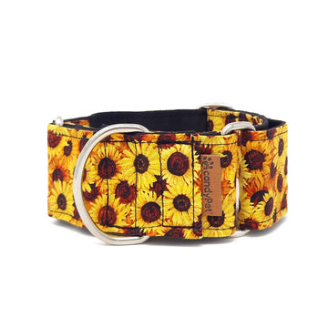 Martingale Collar - SUNFLOWERS