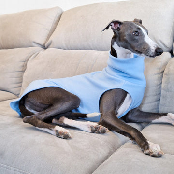 Jersey Polar para Whippet y Galgo
