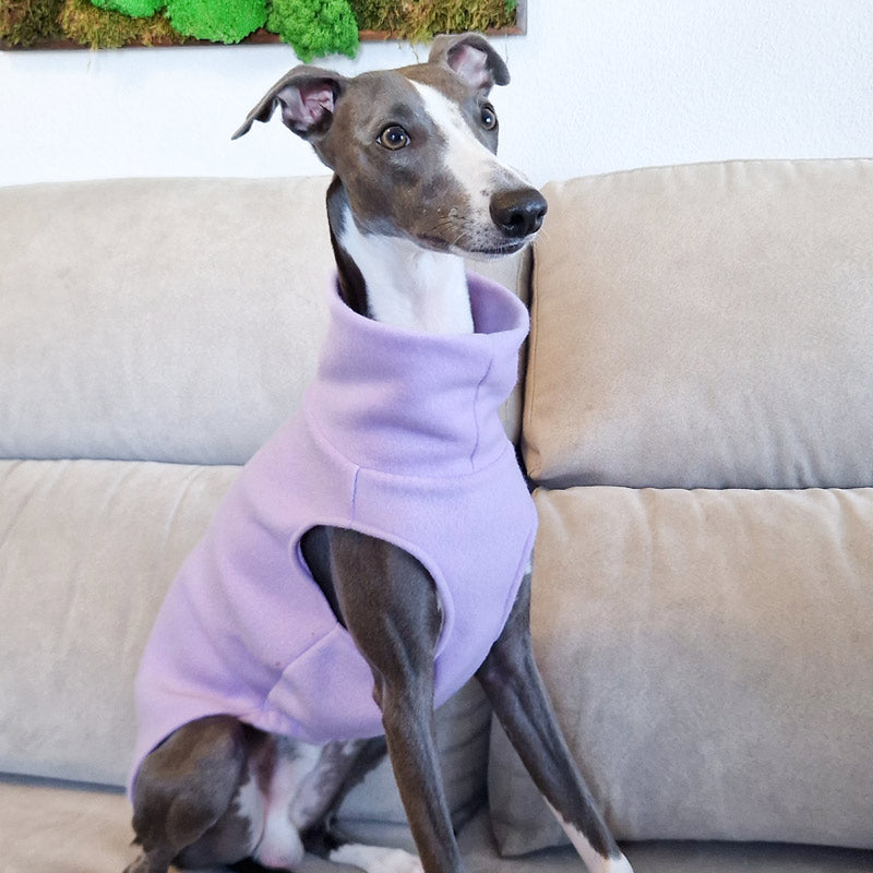 Jersey Polar WHIPPET GALGO