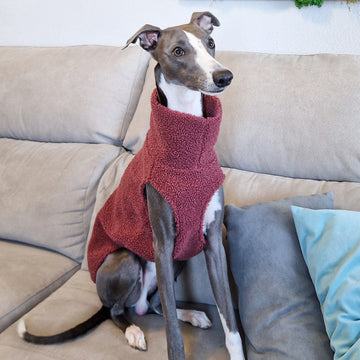 Jersey Teddy para Whippet y Galgo