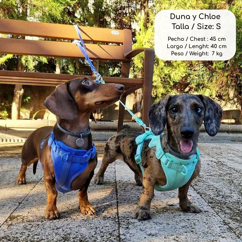 Arnés Ajustable Neopreno