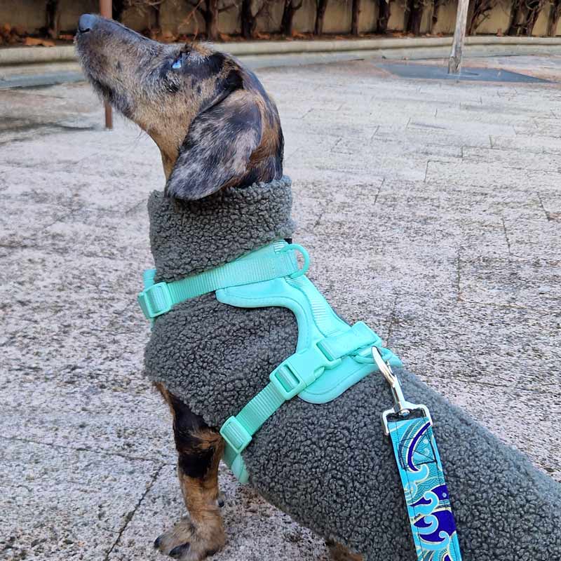 Arnés Ajustable Neopreno